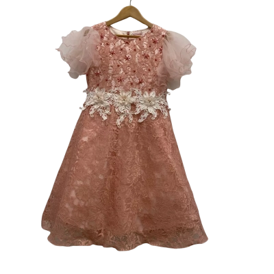 Kid’s Collection Kids Lace Dress Size 10 Nude 