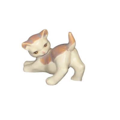 Playful Kitten