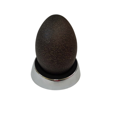 Emu Egg