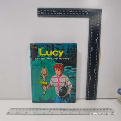 Lucy and the Madcap Mystery Book 