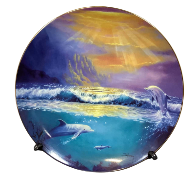 Dawn Of The Dolphin By The Franklin Mint