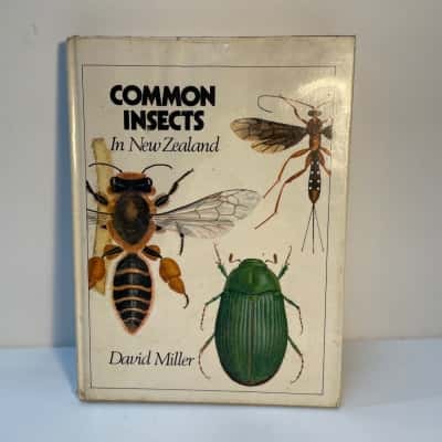 Common insects of New Zealand antique book