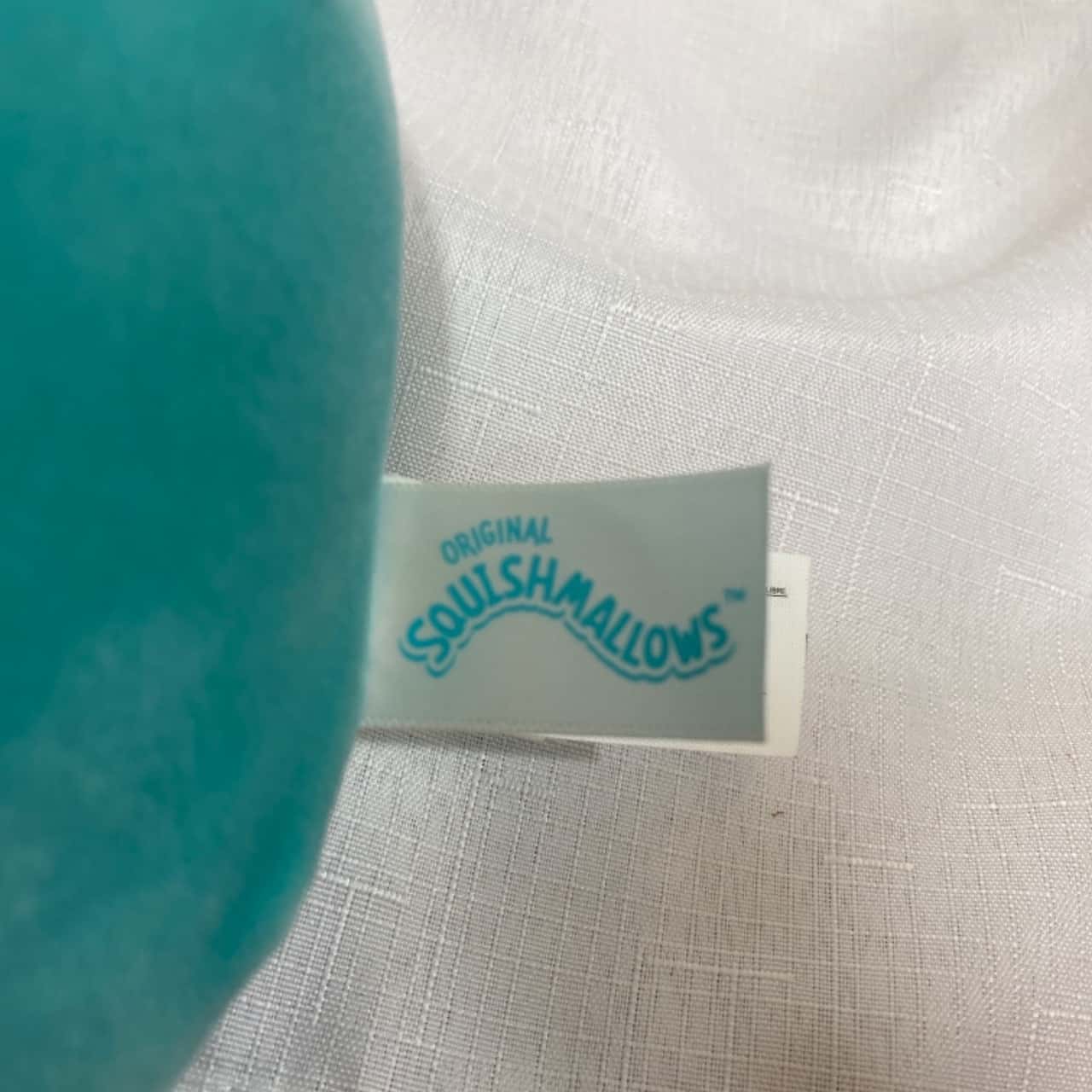 Squishmallows Tesl Frog Plush (Christmas Gift Idea)