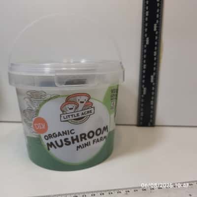 Little Acre DIy Organic Mushroom Mini Farm Toy Gardening 