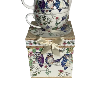 Owl tea for one teapot / cup with box