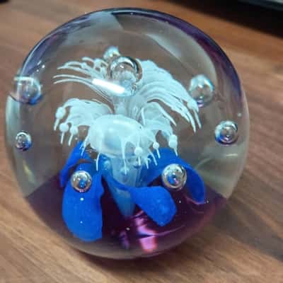 Glass Paperweight