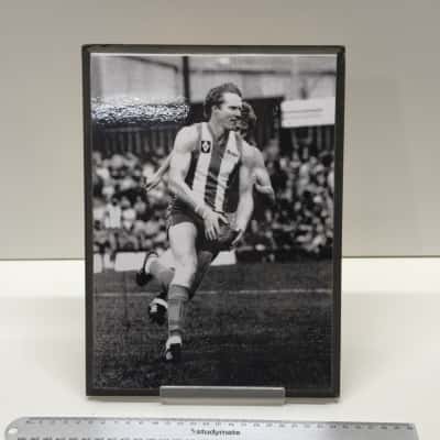 Vintage North Melbourne Kangaroos VFL Block Mounted Action Photo Wall Art