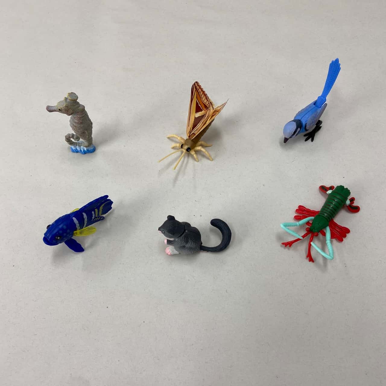 Image Tester