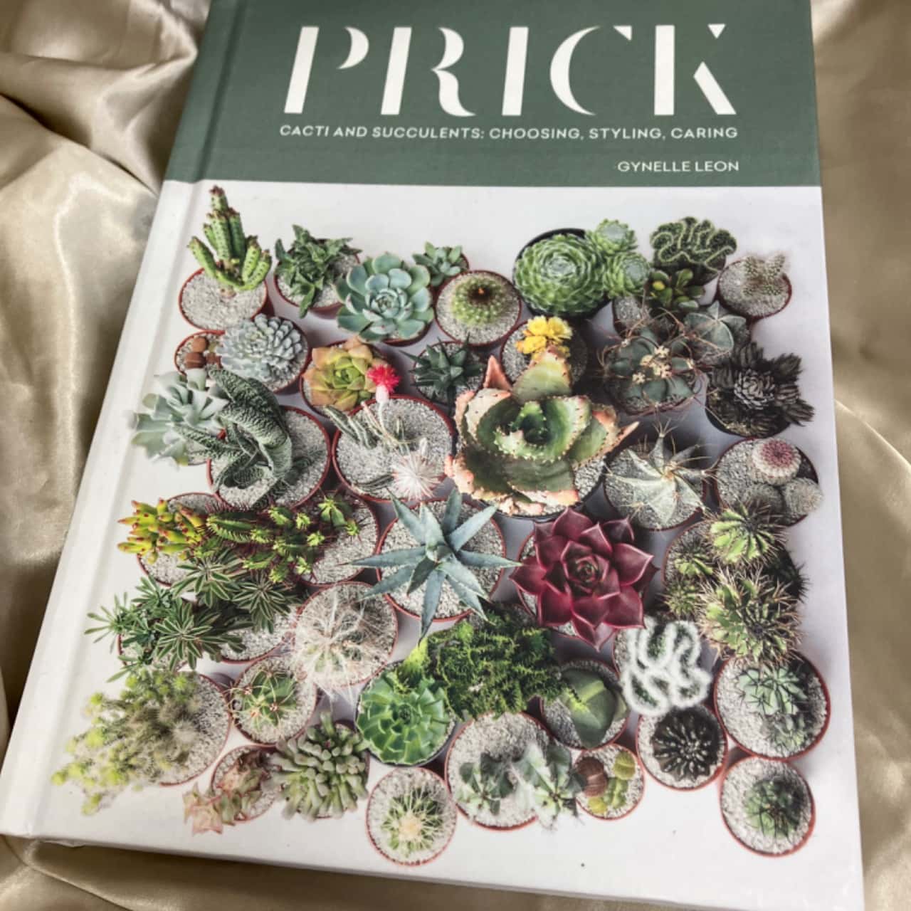 Prick Cacti and Succulents (s)