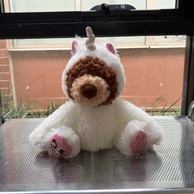 Wannabe Unicorn Teddy Bear