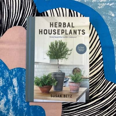 Herbal House Plants