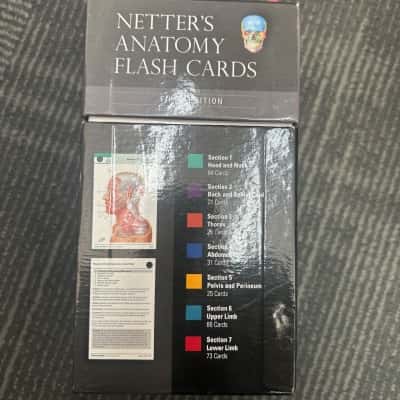Netters Anatomy Flash Cards Fifth Edition 