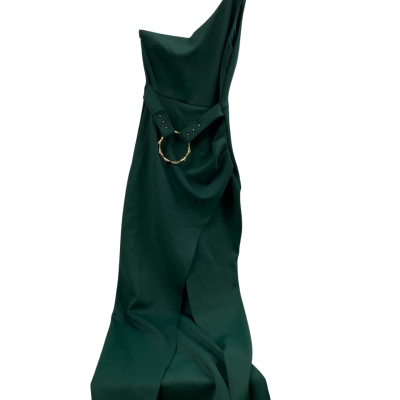 Derma Department Women's Dress Size 10 Green BNWT RRP $399.00
