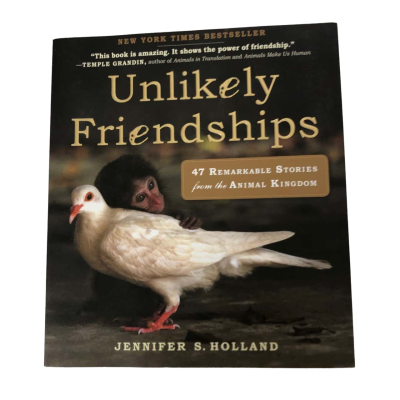 Unlikely Friendships - Jennifer s. Holland