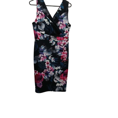 Teaberry Womens   Sleeveless Dress  Floral Size 10