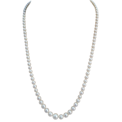  Womens Necklace Pearl / Silver 