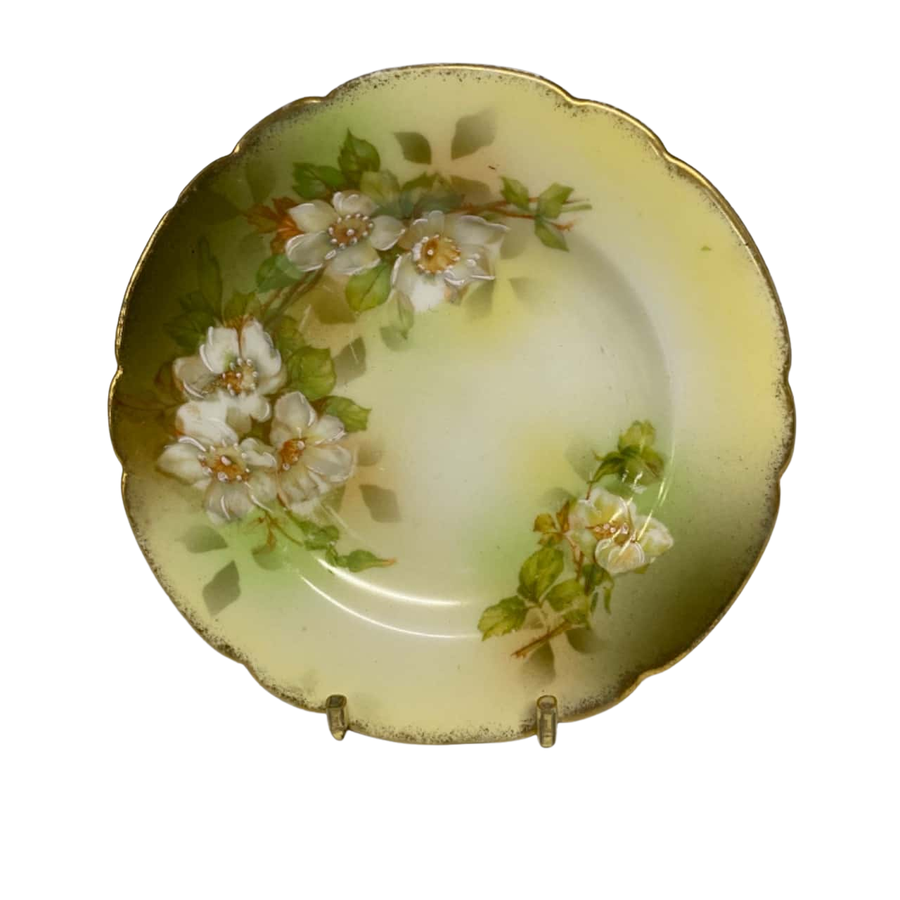 Antique MZ Australia Hand Painted Plate