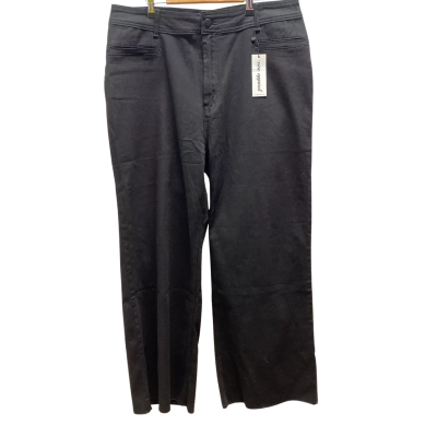 Vine Apparel Womens Black Pants Size 20