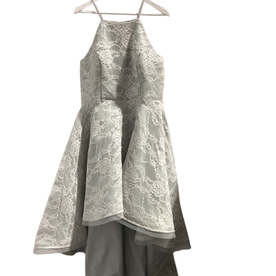 BNWT Beautiful J’adore Lace Overlay Silver High Low Sleeveless Size 18 Bridal Dress/Bridesmaid Dress/Formal Dress RRP $525