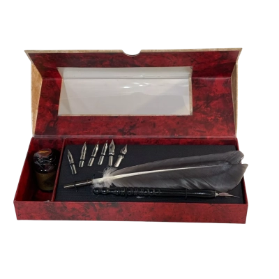 Feather Pen set including Ink, Quill and Nibs x 7.
