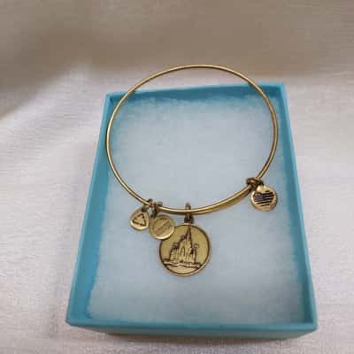 Alex and Ani bronze tone Walt Disney World 2015 adjusted 4 Bracelet  