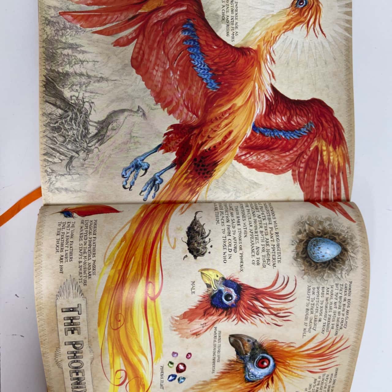 JK Rowlings Harry Potter