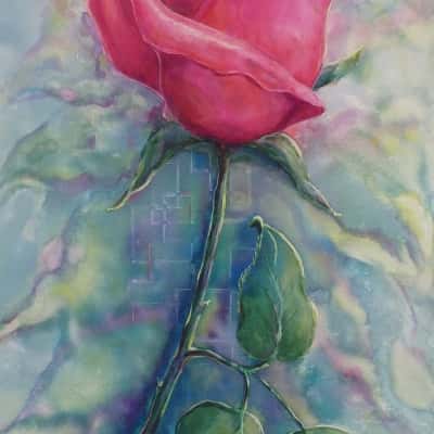 Painting by MARGARET FROST - Rose