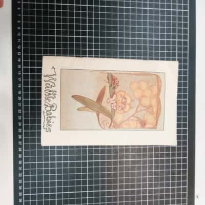 Wattle Babies May Gibbs Book 