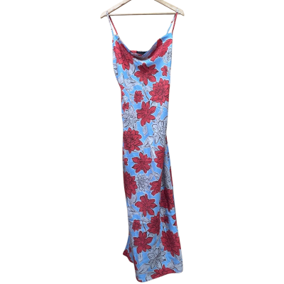 Decjuba Womens  Size 10 Maxi Dress / Sleeveless Dress  Blue / Brown / Cream / Floral / Red 