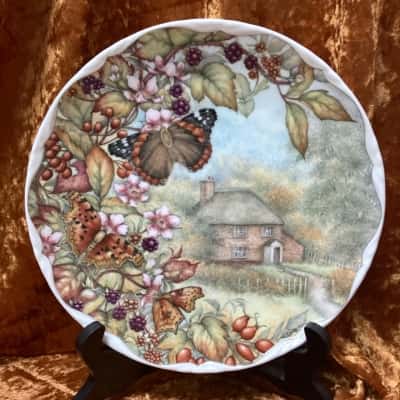 Royal Albert  - Red Admiral and Comma