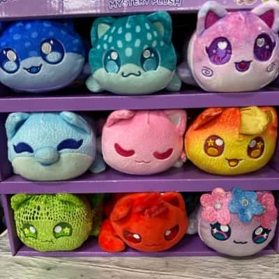 Aphmau Mee Meows litter 5 complete 