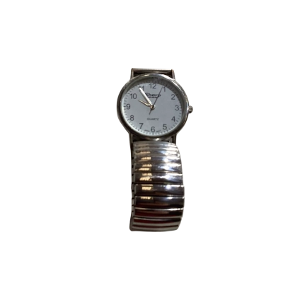 Sharp Mens Watch