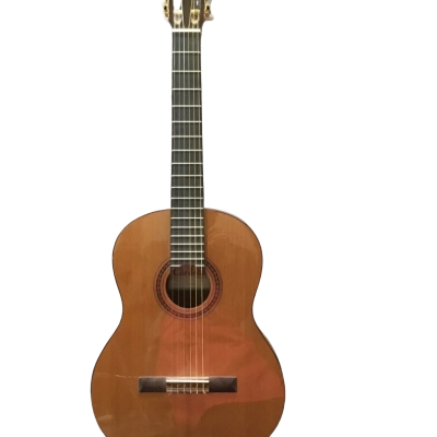 Cordoba Iberia series C5 Lefty acoustic guitar 