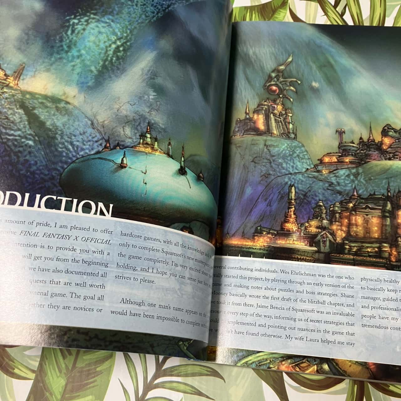 Guide De Stratégie Final Fantasy X - Version US (Anglaise) - BradyGames