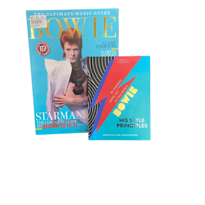 David Bowie Book Bundle x 2