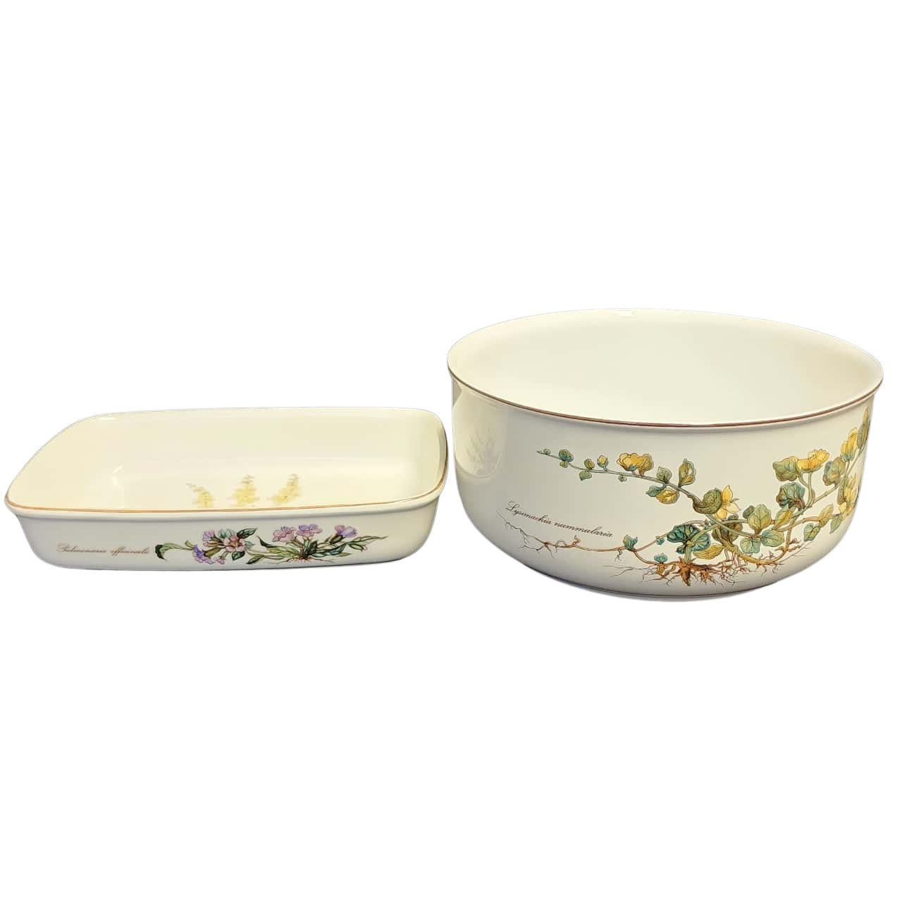 Villeroy and Boch food storage(s)