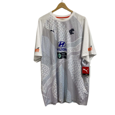 AFL - Puma Mens  Size XXXXXL White, polyester replica training tee