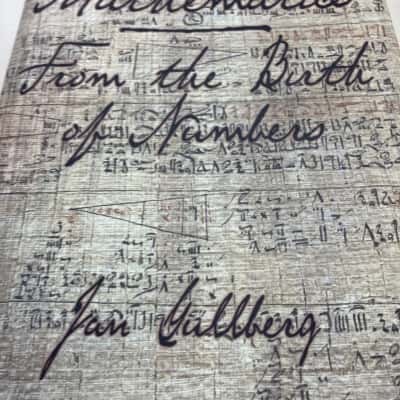 Mathematics: from the birth of numbers