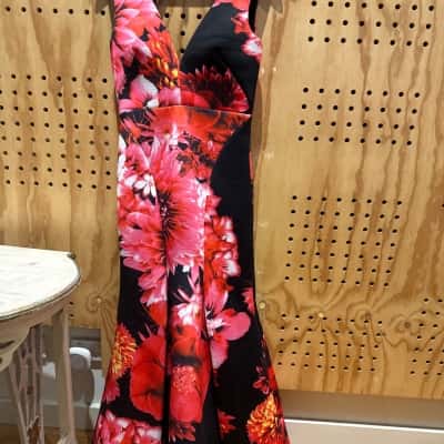 Bariano Floral Formal Dress (size 10)