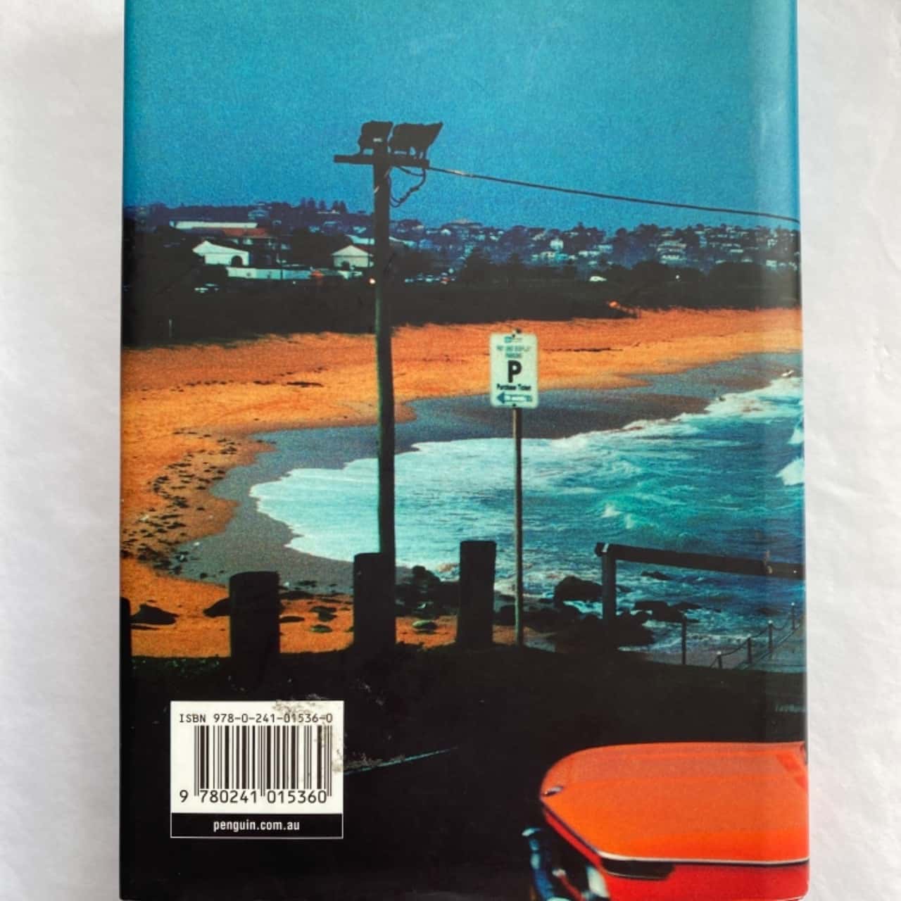 Robert drewe the rip essay 05 picture