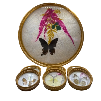 Pressed fern and butterfly serving tray and coasters x 6
