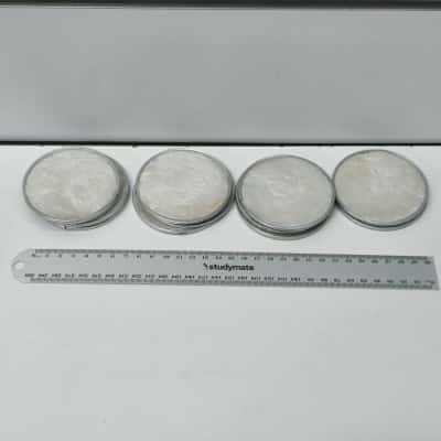 12x Mother Of Pearl Drink Coasters 
