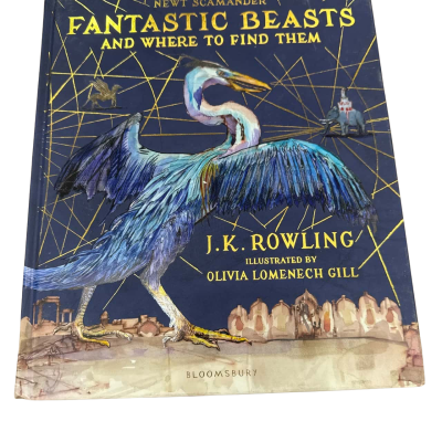 Newt Scammander Fantastic Beasts and where to find them book 