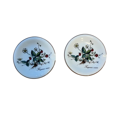 Villeroy & Boch Botanica ‘Frageria Vespa’ Bowls/Ashtrays set of 2
