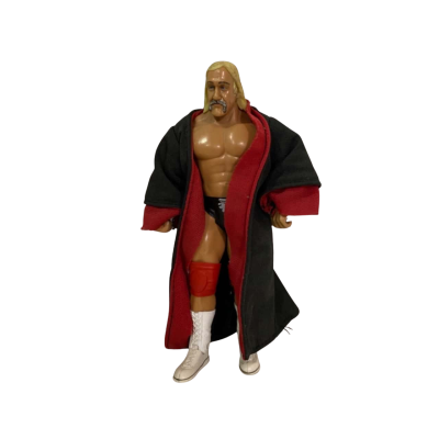TNA Legends Of The Ring Hulk Hogan 