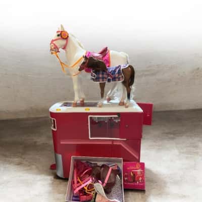 Main attraction horse trailer + horses 