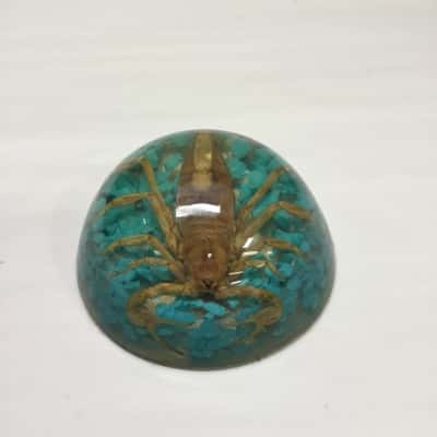 Vintage Brown Scorpion Acrylic Paperweight With Blue Gravel