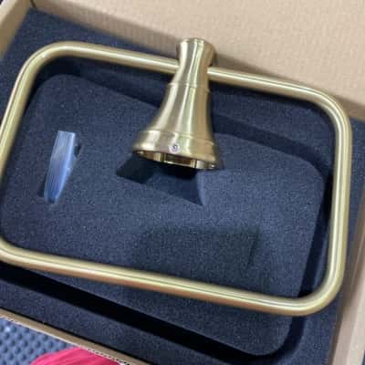 Kingsley brand, hand towel holder and rob hook set ( brushed brass provincial) 