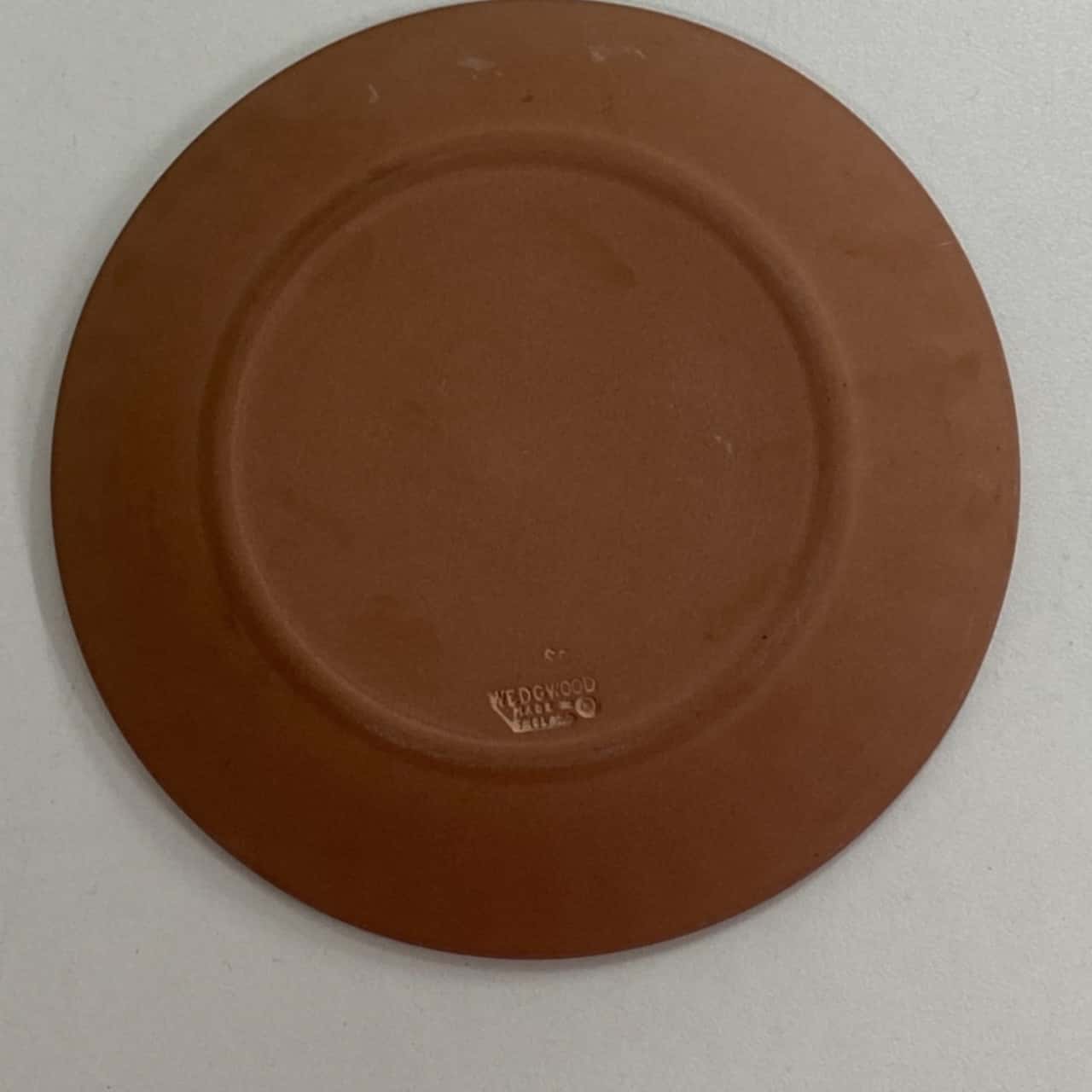 Wedgwood Jasper White on Terracotta