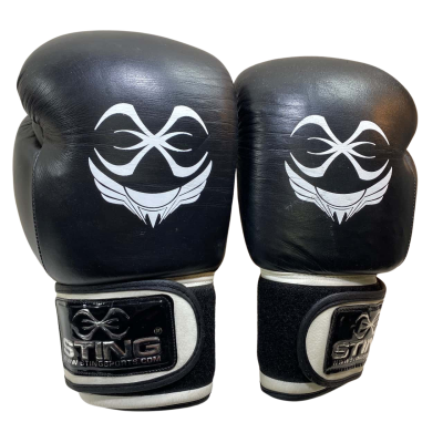 Sting Titan Boxing Gloves 10 Oz